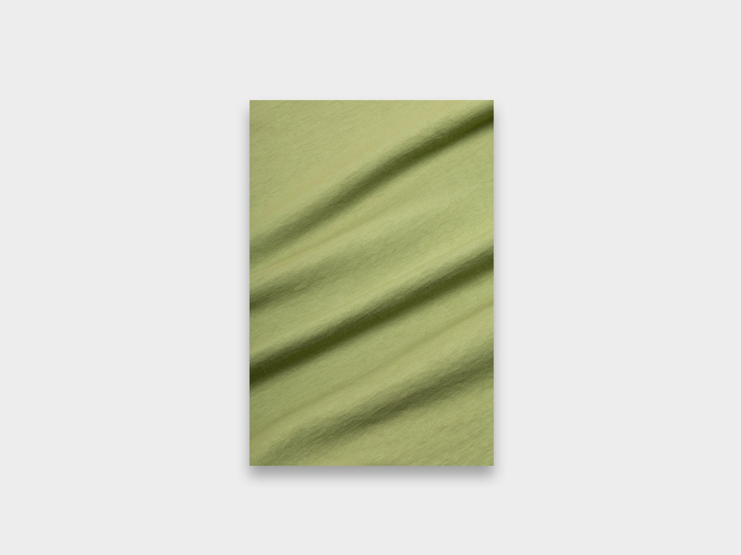R15T4 Fern