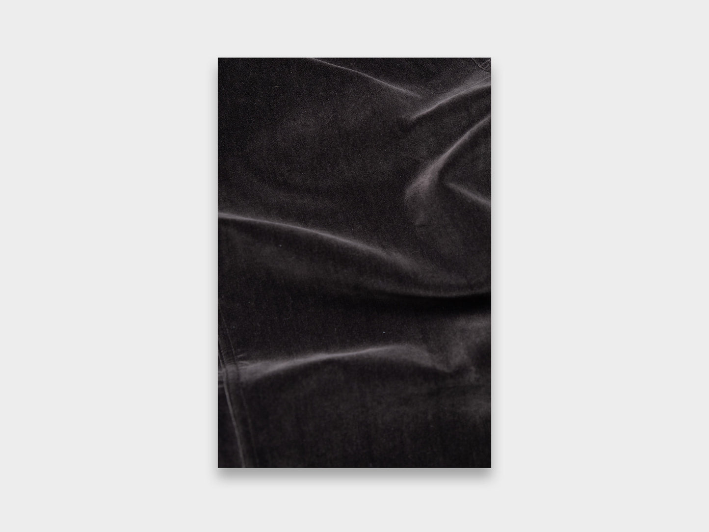 W-R17P4 "High-Wide Pants" Shadow Velvet