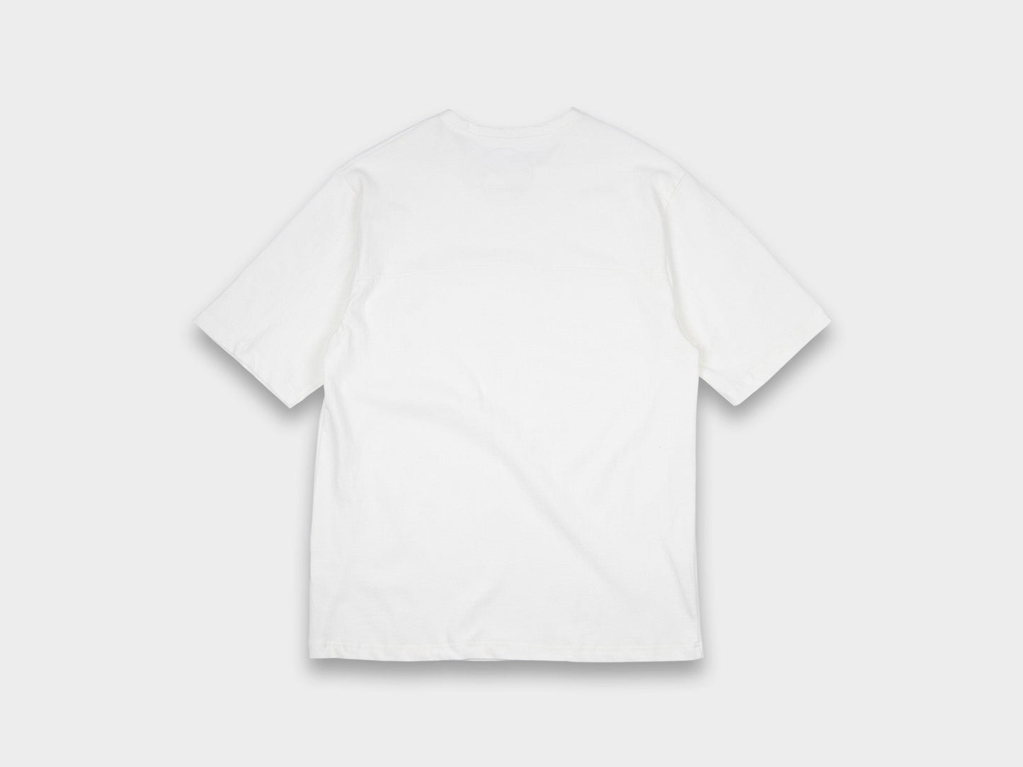 SHT2 White