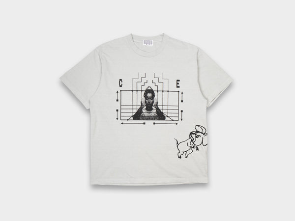 Cav Empt Cause and Effect T
