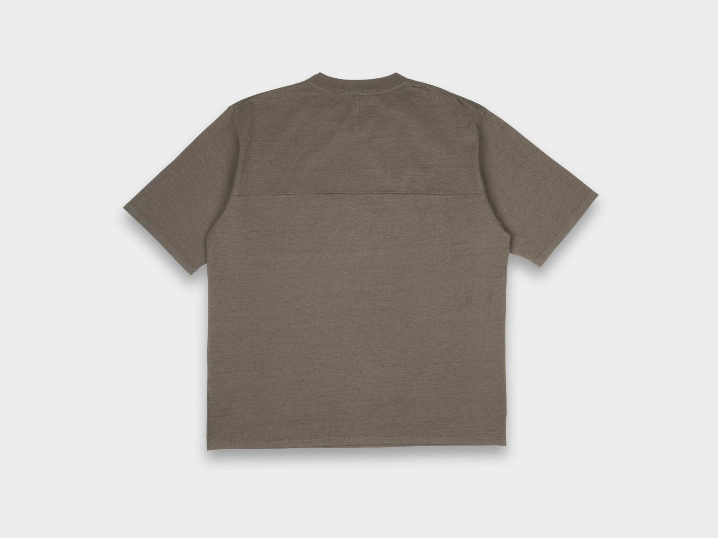 R19T4 "Big T-Shirt" Lichen