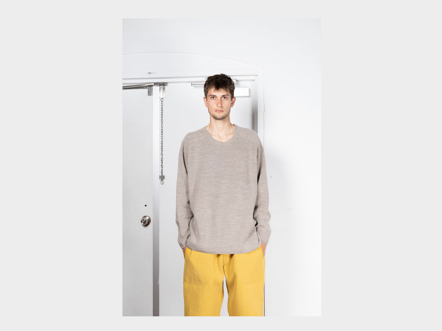 R19Z6 "Machine Knit" Tarndie Polwarth